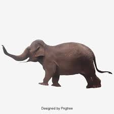 Elephant Png And Psd Elephant Clipart Images Png