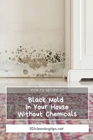 How To Get Rid Of Black Mold In Your House Without Chemicals 101cleaningtips Net In 2020 House Cleaning Tips House Mold Mold In Bathroom