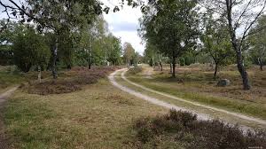 25 Km Fahrrad Rundtour In Der Luneburger Heide Wieder Los