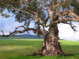 Maybe you would like to learn more about one of these? Marek Niedzwiecki Nigdy Nie Bylem Przebojowy W Odroznieniu Od Mojej Listy