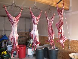 montana | Stunt Foodways