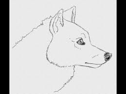 Pin By Savanna Williams On My Drawing Video Tutorials Easy Drawings Sketches Drawings Wolf Face The world would be a nicer place if everyone had the ability to love would you like to learn to draw a dog?