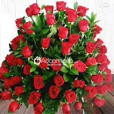 We did not find results for: Ramos De Flores Para Cumpleanos A Domicilio En Manizales Arreglo 100 Rosas Con Amor