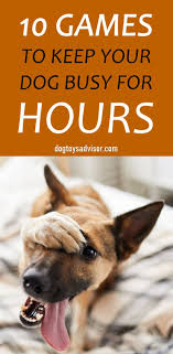 10 Fun Games To Play With Your Dog In 2020 Dogs Dog Boredom Dog Toys