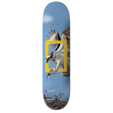Shop online at the official element store. Element Nat Geo Team Skate Skateboard Decks At Satellite Boardshop