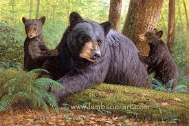 Bear Prints Black Bears Art Bear Art Animal Art