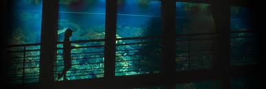 The National Aquarium In Baltimore Harbor Has Grown So Much Since The Nineties But This Shark Tank With The Ramp That G Aquarium Dc Travel Great Barrier Reef