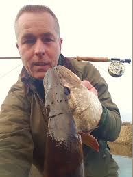 Are last century's rods considered classic?