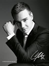 9 of 21 harry styles, louis tomlinson, zayn malik, liam payne, and niall haron, dallas (march 24,2012) 10 of 21 liam payne, louis tomlinson, and niall horan 11 of 21 one direction fan Liam Payne Fun Facts One Direction Wiki Fandom