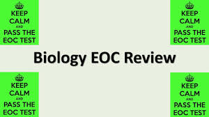 Request your free trial and see why our biology eoc practice exam this is the third practice exam and comes to us from florida virtual schools. Biology Eoc Test Day Review 2021 Youtube