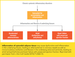 Cover Story Obesity And Cardiovascular Disease Risk