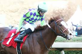 Check back daily for updated oaklawn park tips, tipsheet payouts and more. Papa Dudes Free Picks For Oaklawn Park 4 24 21 Thoroughbred Racing Dudes