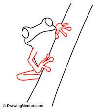 How To Draw A Tree Frog Tree Frog Art Frog Drawing Frog Art