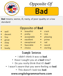 Opposite Of Bad Antonyms Of Bad Meaning And Example Sentences Antonym Opposite Words Contradict Each Other And Meet Opposit Opposite Words Antonyms Opposites