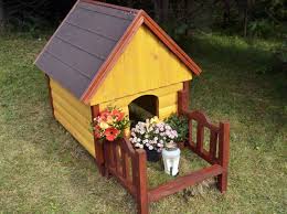 Katze Im Eigenen Garten Begraben Ist Das Erlaubt