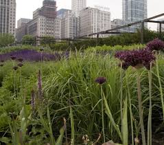 Lurie Garden Landscape Design Garden Landscape Design Public Garden