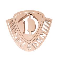 V., commonly known as sg dynamo dresden or dynamo dresden, is a german football club in dresden, saxony. Holz Fensterbild Dynamo Logo Beleuchtet Sg Dynamo Dresden Fanshop