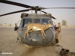Each word (code word) stands for its initial letter (alphabetical symbol). Redneck Marine
