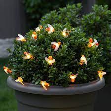 Hanging from the eaves of your house, hanging across your garden from your house to another structure like festoon lights, hanging along a fence, around a tree or its branches, or around a pergola. 50 Warm White Outdoor Battery Bee Cap Fairy Lights With Timer