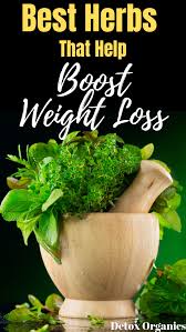 Pin On Fat Loss