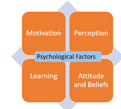 What Are The 5 Factors Influencing Consumer Behavior Clootrack