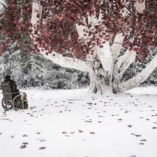 Regarder game of thrones saison 7 en streaming hd gratuit sans illimité vf et vostfr. Game Of Thrones Creators Announce Yet Another New Netflix Series Polygon