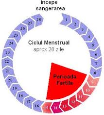 How to create your personal ovulation calendar. Metoda Calendarului