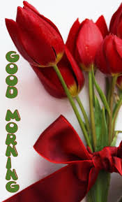 Good Morning Flores Bonitas Feliz Aniversario Amor Flores