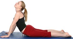 Yoga And Lifestyle Test Papers