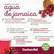 Esta AGUA DE JAMAICA es buenísima para el calor o para tu salud. 😋🥤✨  ¡Aquí sus beneficios! https://bit.ly/3767Tk3