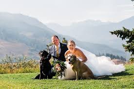 This is blog page placeholder. Fun Ideas For Bringing Your Dog To Your Wedding Amy Galbraith Blog