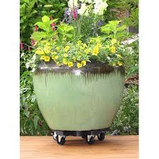 Plantstand 14410 14 In Black 5 Wheel Single Plant Caddy Walmart Com In 2020 Hydrangea Care Plants Diy Container Gardening