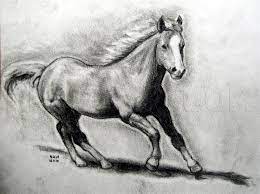 The horse designed using black pencil looks awesome on a pure white platform. How To Draw A Realistic Horse Draw Real Horse Step By Step Drawing Guide By Finalprodigy Dragoart Com