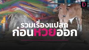 เปิดสถิติหวยออกย้อนหลัง 10 ปี งวด 16 มีนาคม. Vhf7axezxhn M