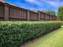 The distance between each spot depends on how much trim the plant evenly along the top and sides, keeping the top wider than the base so light filters down to the lower branches.12 x research source. How Close To A Fence Can I Plant A Hedge Backyardscape