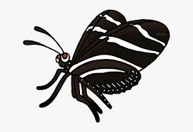 Lostblogname png gif butterfly download png butterfly gif png gif base pngkit selects 1663 hd butterfly png images for free download from i1.wp.com butterfly png image, free picture. Zebra Clipart Phillip Martin Zebra Longwing Butterfly Gif Png Image Transparent Png Free Download On Seekpng