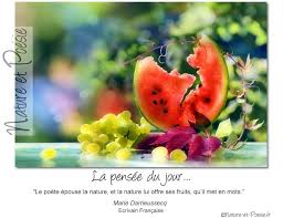 Le Poete Epouse La Nature Et La Nature Lui Offre Ses Fruits Qu Il Met En Mots Marie Darrieussecq Ecrivain Francaise Fruits Nature Ecrivain