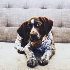 Hengshan hanging temple (xuankong si) tours and tickets. As I Am Photography Video Home Facebook