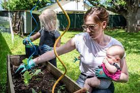 Gardener's supply company has 158 employees at their 1 location. Home Gardening Blooms Around The World During Coronavirus Lockdowns Reuters