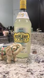 We did not find results for: Deepeddylemonvodka Hashtag Videos On Tiktok