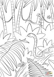 Real news, curated by real humans. Tropical Rainforest Easy Drawing Of Forest Novocom Top