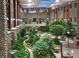 We did not find results for: 4 Tips For The Best Lighting For Indoor Plants Buildings