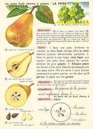 Nath Choses P3 Learn French Fruit French Language