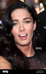 Jay fox hi-res stock photography and images