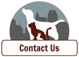 When you are ready to choose the right vet for you and your pets, look to the apcc. Veterinarian In Raleigh Creedmoor Animal Hospital Compassionate Vet
