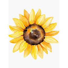 We did not find results for: Stiker Aesthetic Bunga Matahari Sitcker Sunflower Pinterest Shopee Indonesia