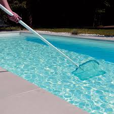 Bayrol Laubkescher Poolomio De 19 10