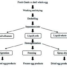 Flow Diagram Of Processed Egg Products Download Scientific