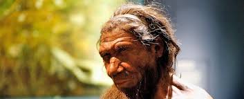 Human vs neanderthal the difference between humans and neanderthals is their height, size and morphological features. Neanderthal Children Grew Up And Were Weaned In A Similar Way To Humans