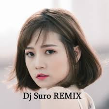 Download Dj Suro REMIX album songs: You Belong with Me